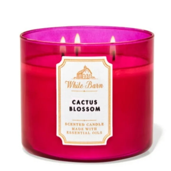 CACTUS BLOSSOM 3-WICK CANDLE - Picture 1 of 2